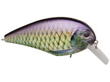 OSP Blitz Magnum SR Squarebill Crankbait