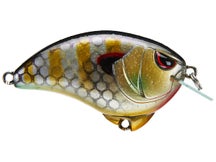 SPRO Outsider Crank SR 55 Crankbait
