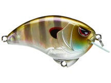 SPRO Outsider Crank SR 55 Crankbait