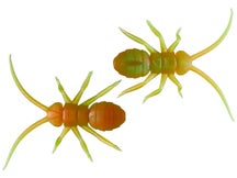 OSP Orikanemushi II Insect Soft Bait 1.4" 2pk