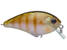 OSP Blitz SSR Squarebill Crankbait