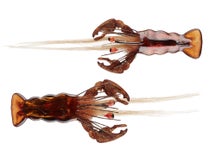 Outkast Tackle Poppin Craw