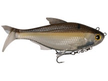 6th Sense Option Swimbait Ghost Gizzard 3.75"