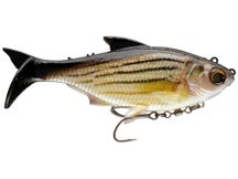 6th Sense Option Swimbait Live Barfish 3.75"