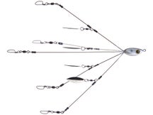 Picasso Bait Ball Pulse Junior Umbrella Rig