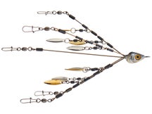 Picasso Flash Back Finesse Umbrella Rigs