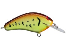 PH Custom Lures "Lowen's" Dollar Bill Crankbait