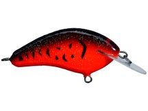PH Custom Lures "Lowen's" Dollar Bill Crankbait