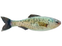 6th Sense Plump Panorama