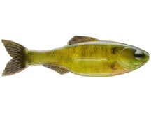 6th Sense Plump Panorama