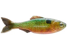 6th Sense Plump Panorama