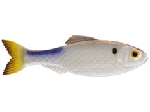 6th Sense Panorama 4K Shad 2" 8pk