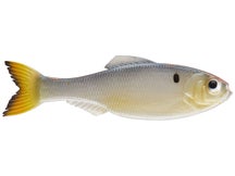 6th Sense Panorama Shad Clone 5" 3pk