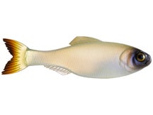 6th Sense Panorama Shad
