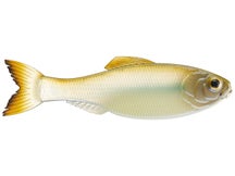 6th Sense Panorama Shad