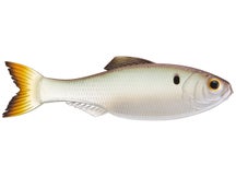 6th Sense Panorama Ghost Pro Shad 2" 8pk