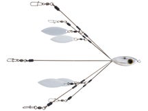 Picasso Bait Ball Original Umbrella Rigs