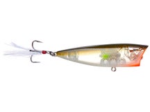 Team Ark Topwater Poppers