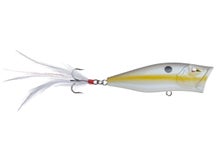 Team Ark Z-Pop Topwater Popper Sexy White Shad 70mm