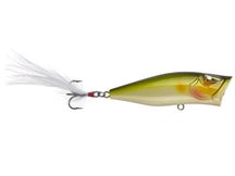 Team Ark Z-Pop Topwater Popper Tennessee Shad 70mm