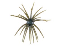 Picasso 19mm Urchinator TPE Creature Bait 