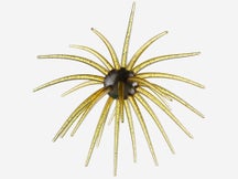 Queen Tackle Porcupine Ball Dead Center Beast 25mm 1pk