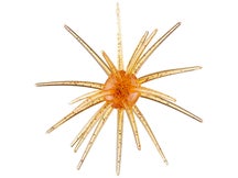 Queen Tackle Porcupine Ball Dead Center 15mm 2pk