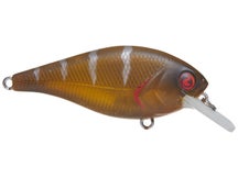 River2Sea Ish Monroe Biggie Poppa Squarebill Crankbaits