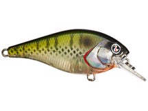 River2Sea Ish Monroe Biggie Poppa Squarebill Crankbaits