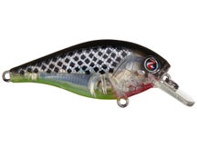 River2Sea Ish Monroe Biggie Smalls Squarebill Crankbait