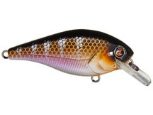 River2Sea Ish Monroe Biggie Smalls Squarebill Crankbait