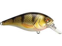 River2Sea Ish Monroe Biggie Smalls Squarebill Crankbait