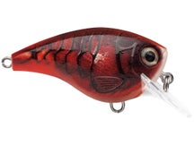 Rapala Balsa Xtreme BX Brat 6 Squarebill Crankbaits