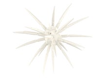 Rapala Crush City The CEO Urchin Bait