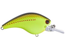 Ichikawa Rick Clunn RC Flat Shad 65MD Crankbaits