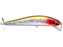 RAID Japan Answer Topwater Jerkbait