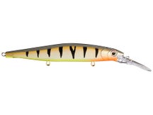 Rapala PXR Deep Mavrik 110 Hot Perch