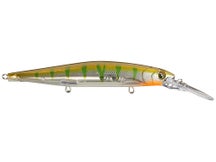 Rapala PXR Deep Mavrik 110 Metallic Yellow Perch