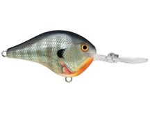 Rapala DT10 Series Crankbaits 