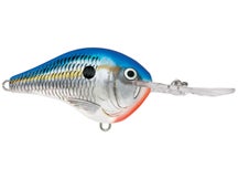 Rapala DT10 Series Crankbaits 