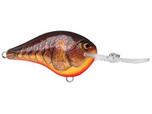 Rapala DT10 Series Crankbaits 