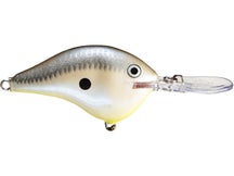 Rapala DT10 Series Crankbaits 