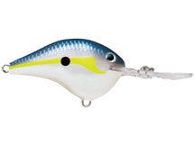 Rapala DT10 Series Crankbaits 