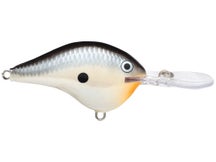 Rapala DT10 Series Crankbaits 