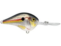 Rapala DT10 Series Crankbaits 