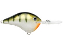Rapala DT10 Series Crankbaits 