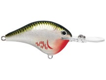 Rapala DT12 Series Crankbaits
