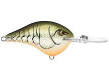 Rapala DT12 Series Crankbaits