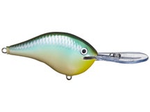 Rapala DT16 Series Crankbaits 