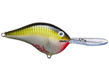 Rapala DT16 Series Crankbaits 